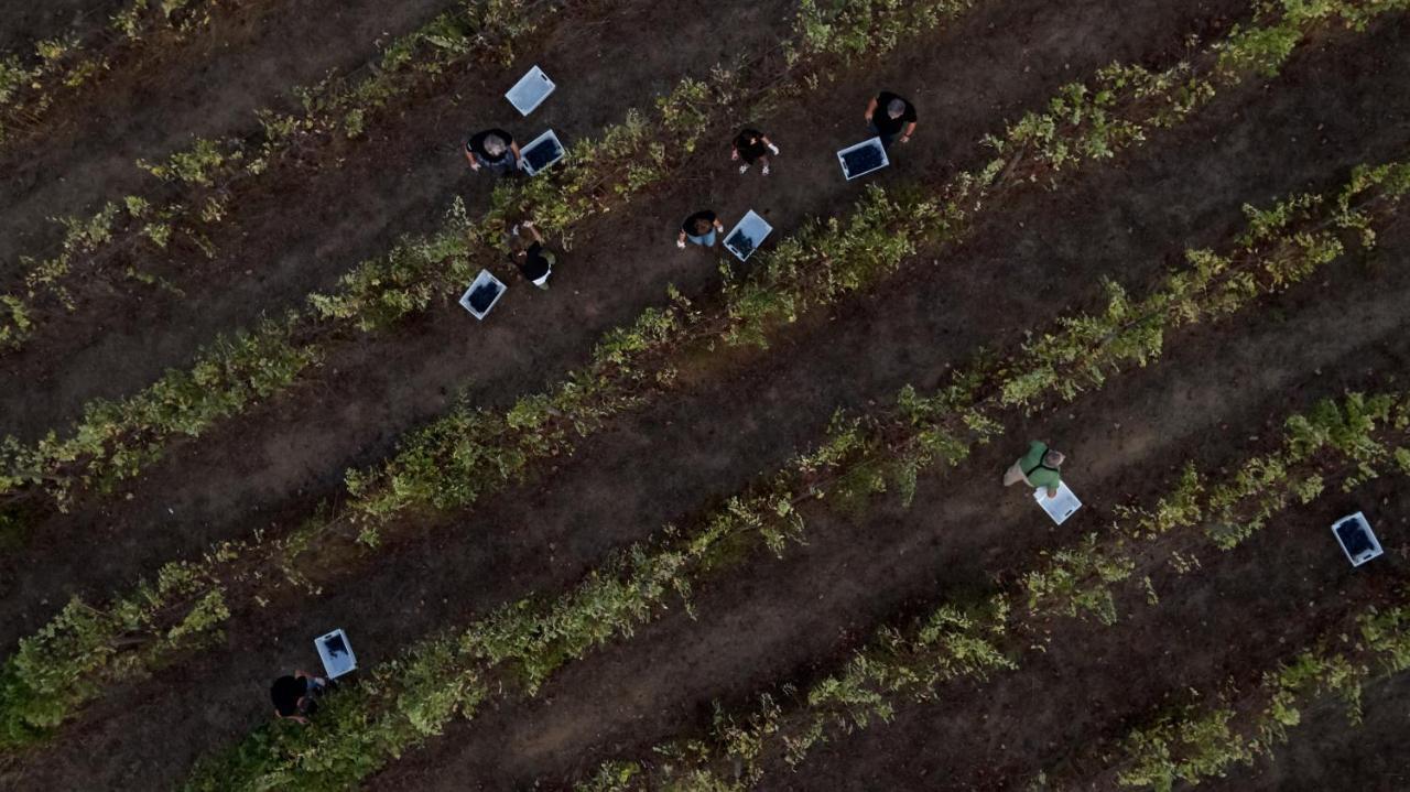 L'And Vineyards - Relais & Chateaux Montemor-o-Novo Εξωτερικό φωτογραφία